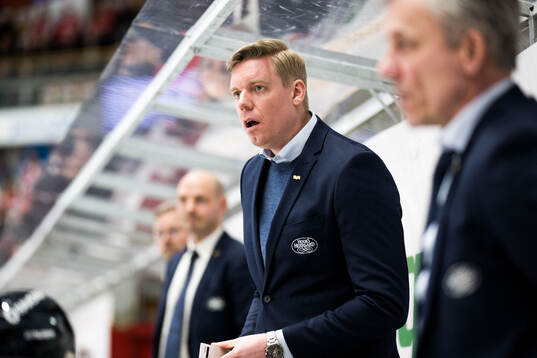 HV71s tränare Anton Blomqvist