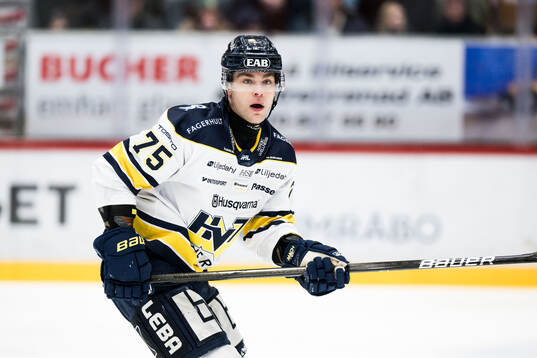 HV71s Radan Lenc