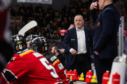 Luleås tränare Thomas Berglund