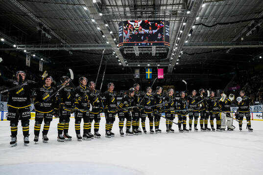 AIKs spelare jublar