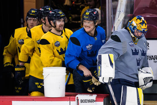 Viktor Arvidsson, William Nylander and goaltender Samuel
