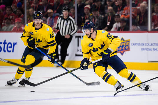Elias Pettersson and Erik Karlsson of Sweden
