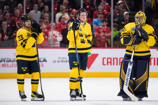 Viktor Arvidsson, Rasmus Dahlin and goaltender Filip