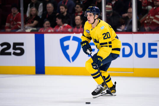 Joel Eriksson Ek of Sweden