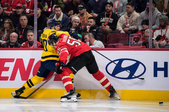 Joel Eriksson Ek of Sweden and Colton Parayko of Canada