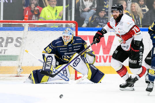 HV71s målvakt Hugo Alnefelt och Malmö Redhawks Robin Hanzl