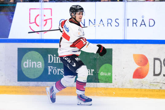 Malmö Redhawks Nikola Pasic jublar