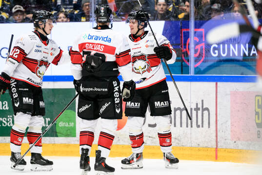 Malmö Redhawks Nikola Pasic jublar