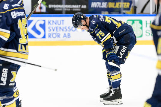 HV71s Radan Lenc deppar