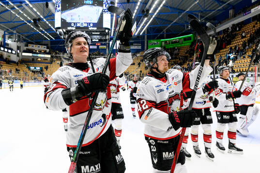 Malmö Redhawks Fredrik Händemark jublar