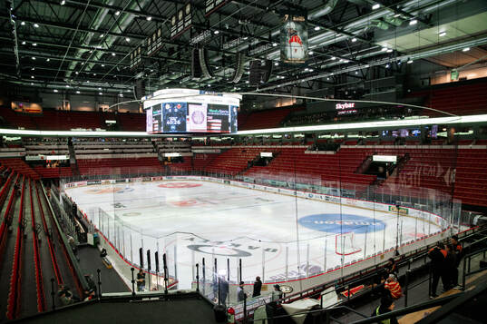 Monitor ERP Arena
