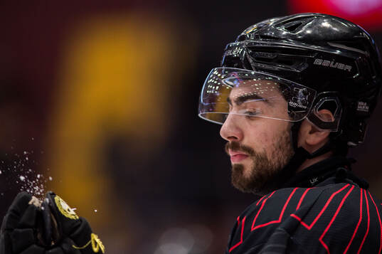 Brynäs Bobby Trivigno
