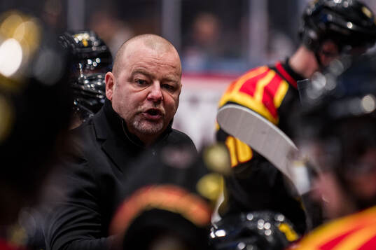 Brynäs tränare Niklas Gällstedt