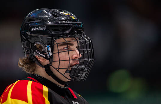 Brynäs Michal Svrcek