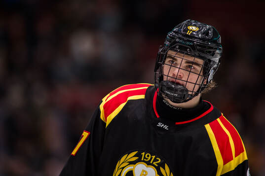 Brynäs Michal Svrcek