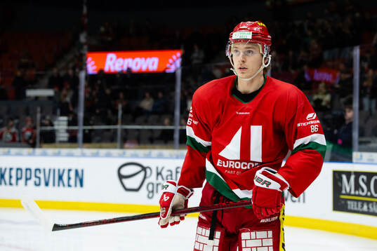 Modos Lukas Jasek