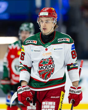 Modos Lukas Jasek