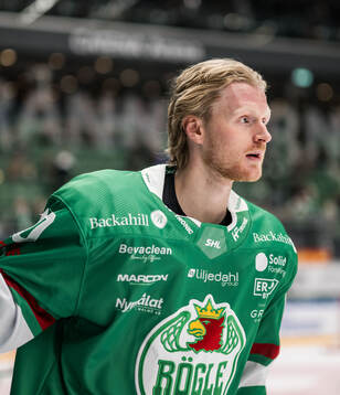 Rögles Joachim Blichfeld