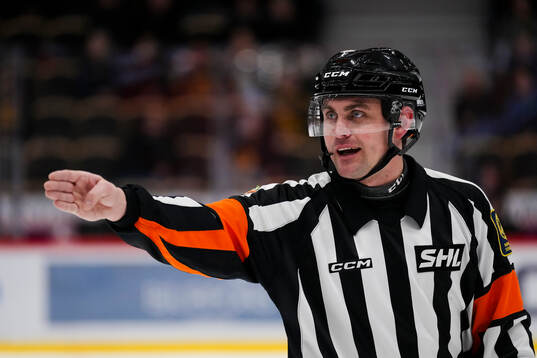 Domare David Laksola