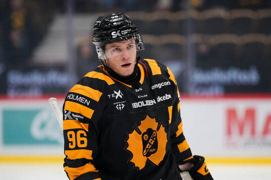 Skellefteås Rickard Hugg