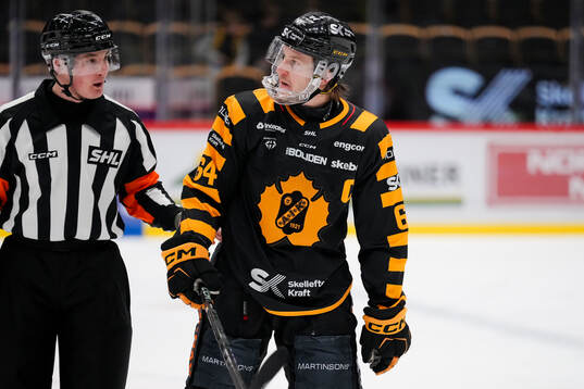 Domare Alexander Österberg och Skellefteås Jonathan Pudas
