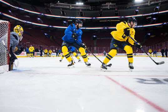 Goaltender Filip Gustavsson, Victor Hedman and Jesper Bratt