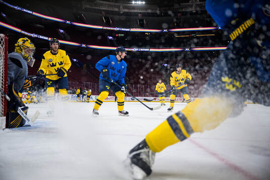 Goaltender Filip Gustavsson, Elias Lindholm, Gustav