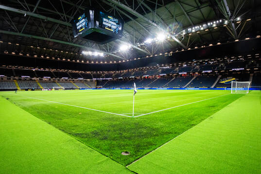 Strawberry Arena