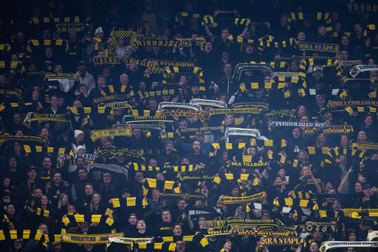 AIKs supportrar