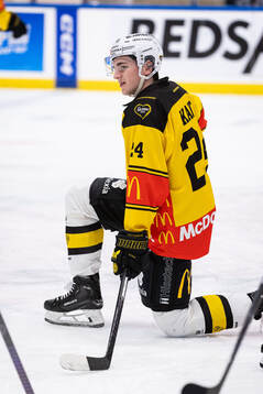Västerås Joel Kant