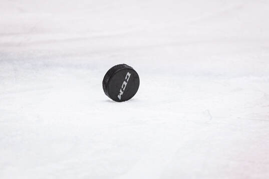 Hockey puck