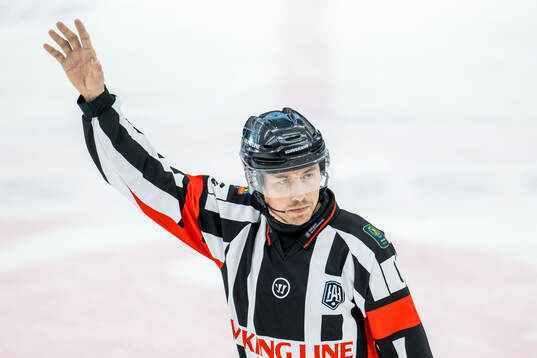 Domare Robin Jacobsson