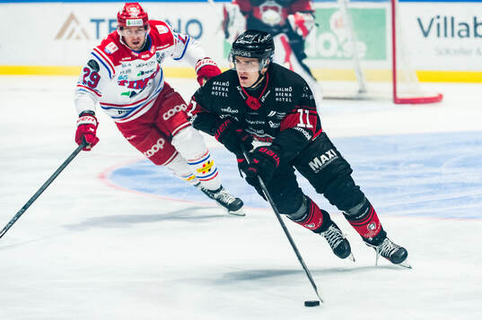 Malmö Redhawks Nikola Pasic och Timrås Filip Hållander
