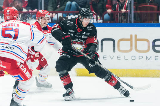 Malmö Redhawks Nikola Pasic