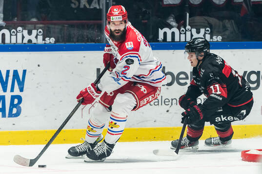 Timrås Per Svensson och Malmö Redhawks Nikola Pasic