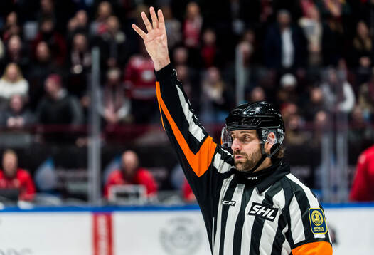 Domare Mikael Sjöqvist