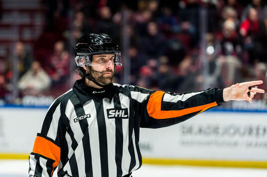 Domare Mikael Sjöqvist