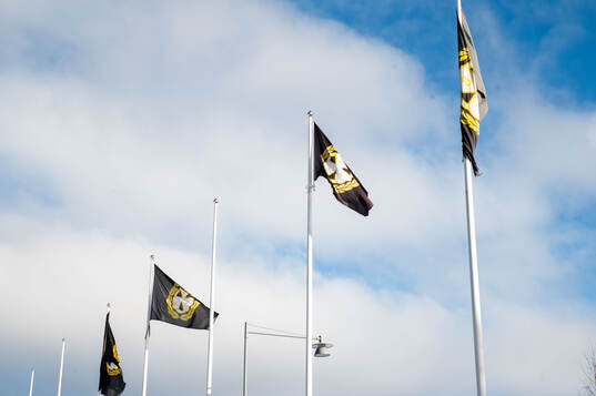 Flaggor med Brynäs logotyp