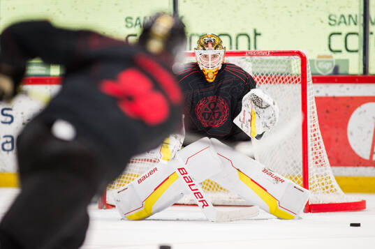 Brynäs målvakt Erik Källgren
