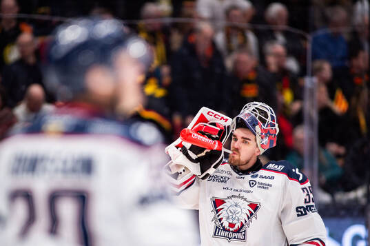 Linköpings målvakt Adam Werner
