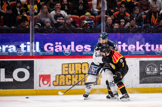 Linköpings Oscar Fantenberg och Brynäs Michal Svrcek