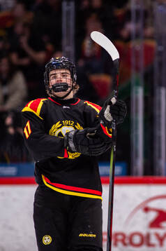 Brynäs Michal Svrcek