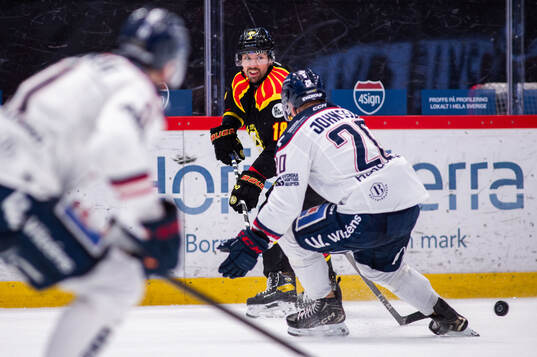 Brynäs Anton Rödin