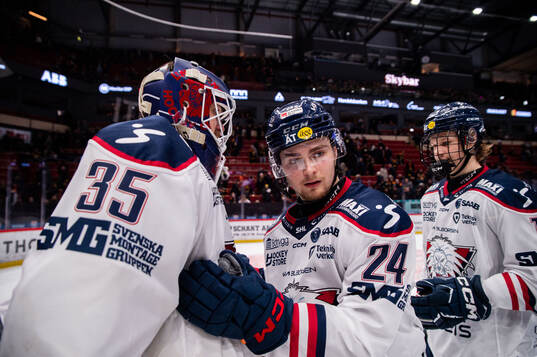 Linköpings målvakt Adam Werner och Elliot Ekmark jublar
