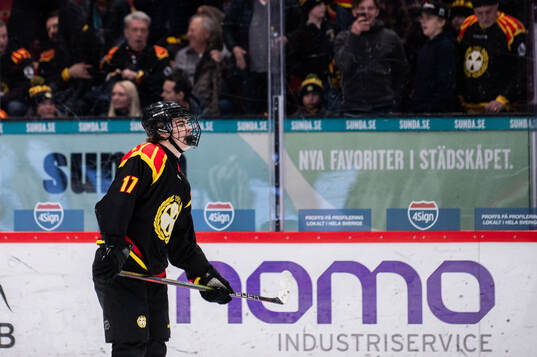 Brynäs Michal Svrcek deppar