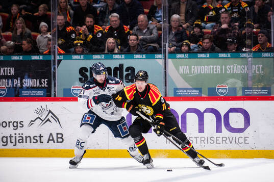 Linköpings Christoffer Ehn och Brynäs Miks Indrasis