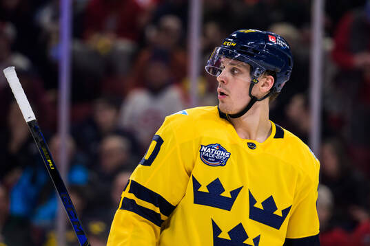 Joel Eriksson Ek of Sweden