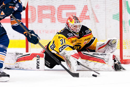 Luleås målvakt Matteus Ward