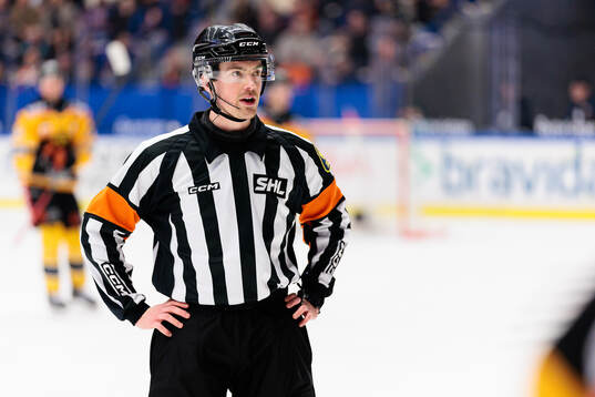 Domare Filip Eriksson