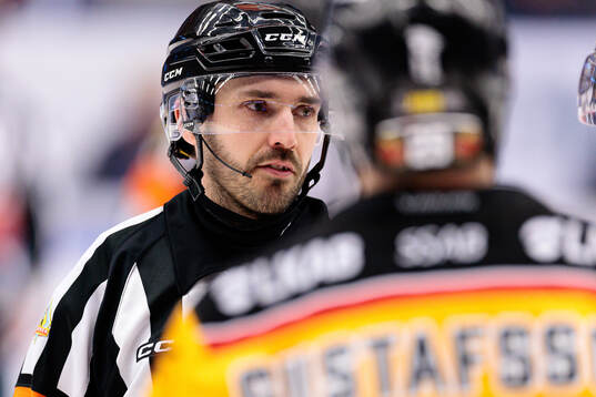 Domare Mattias Enroth